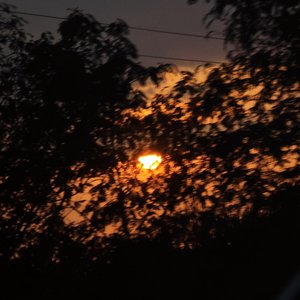 Night Breeze (Solo & Psychedelic)