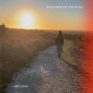 Each Side of the Wall