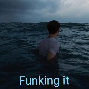 FUNKING IT
