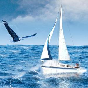 起航阳光大气背景音乐