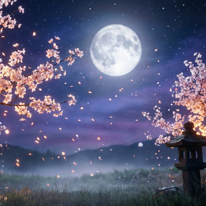 月明かりの夜に感じる春の気配