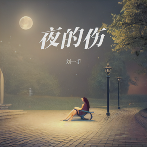 夜的伤