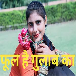 फूल है गुलाब का