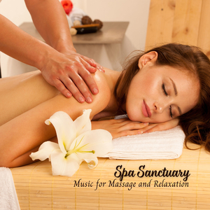 Soothing Sanctuary of Sound