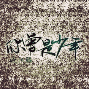 你曾是少年