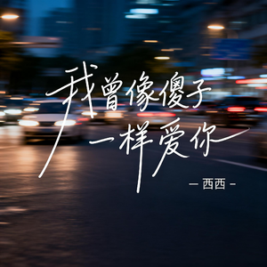 我曾像傻子一样爱你（抖音热播版）