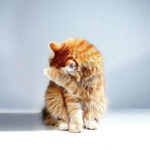 Everything (Loving You)