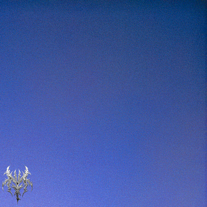 feeling_oh_so_indigo