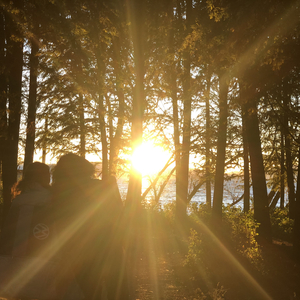 太阳照常升起我会紧闭双眼