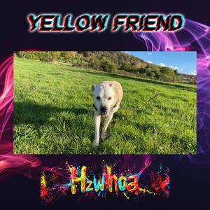 Yellow Friend