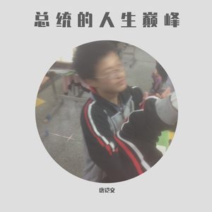 总统的人生巅峰