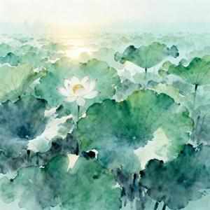 忆夏