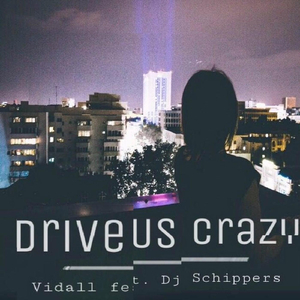 Drive Us Crazy (feat. DJ Schippers)
