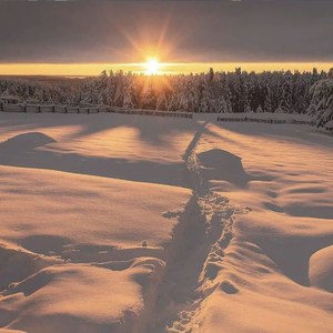 用一次粉身碎骨换一个永恒的拥抱