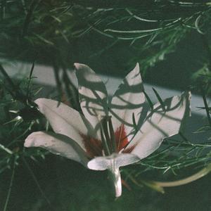 Asymmetry (Live at SJQ)