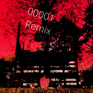 00001. (Remix)