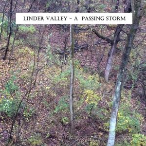 Bursts of Thunder in the Far Off Distance