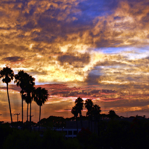 Boy Go Gettum (feat. Max Julian, Micah Foster & Phats Bossi )