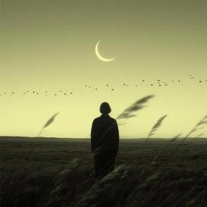 向山野 (0.8x降调版)