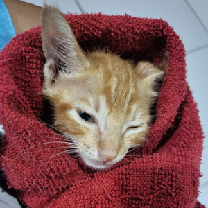 Hari Bahagia (Acoustic)