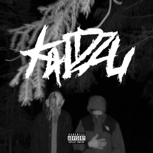 Kaidzu