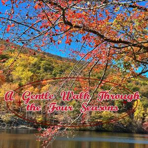 Wind Through Open Fields