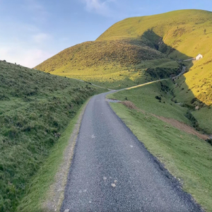 아브라함의 예배 (feat. 진선형)