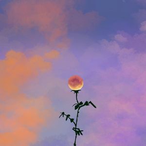 问号（Prod.by Faun牟子杰）