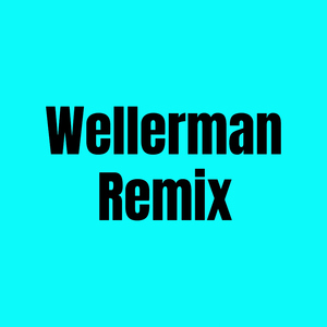 Wellerman Remix