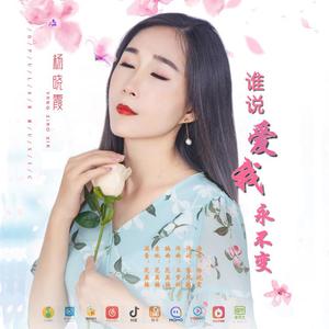 谁说爱我永不变 伴奏
