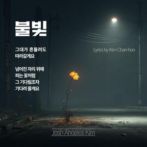 불빛 (if the light shakes)