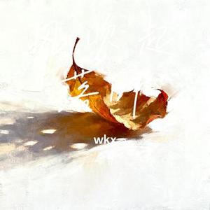 风吹起落叶 (wkx Remix)