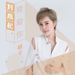 对不起我爱你