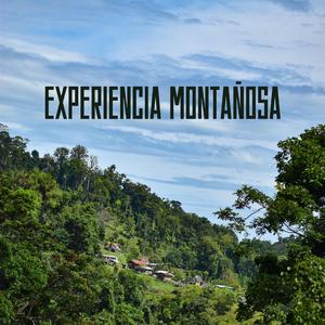 Experienta montana