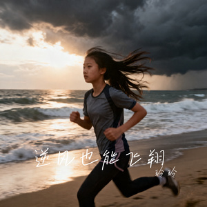 逆风也能飞翔