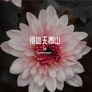 我见青山多妩媚