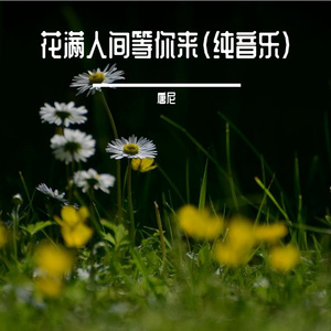 花满人间等你来（纯音乐）