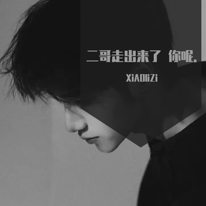 纪念二哥的纯情