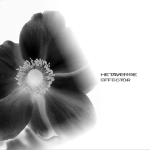 Giving It All to You