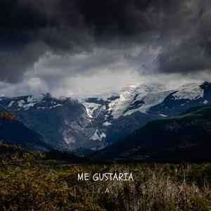 Me Gustaria