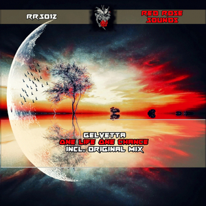 One Life One Chance (Original Mix)