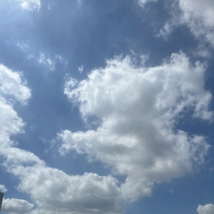 未说出口的坐标