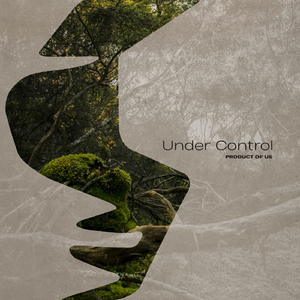 Under Control (Extended Mix)
