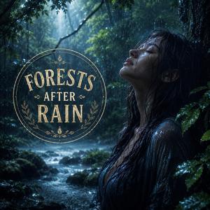 Forests After Rain