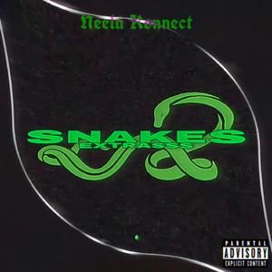 Tiger Remix (feat. JUJUBEEMUSIC, Kenny CR & Cookie X)