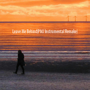 Leave Me Behind(PMJ Instrumental Remake)