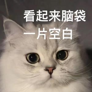 永不失联的爱（cover周兴哲）