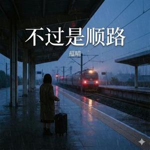 不过是顺路