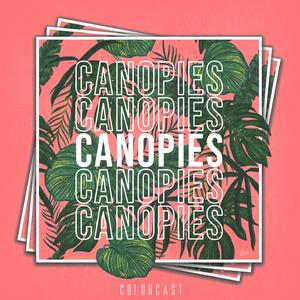 Canopies