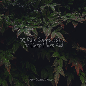 Concrete Lullaby in the Rain